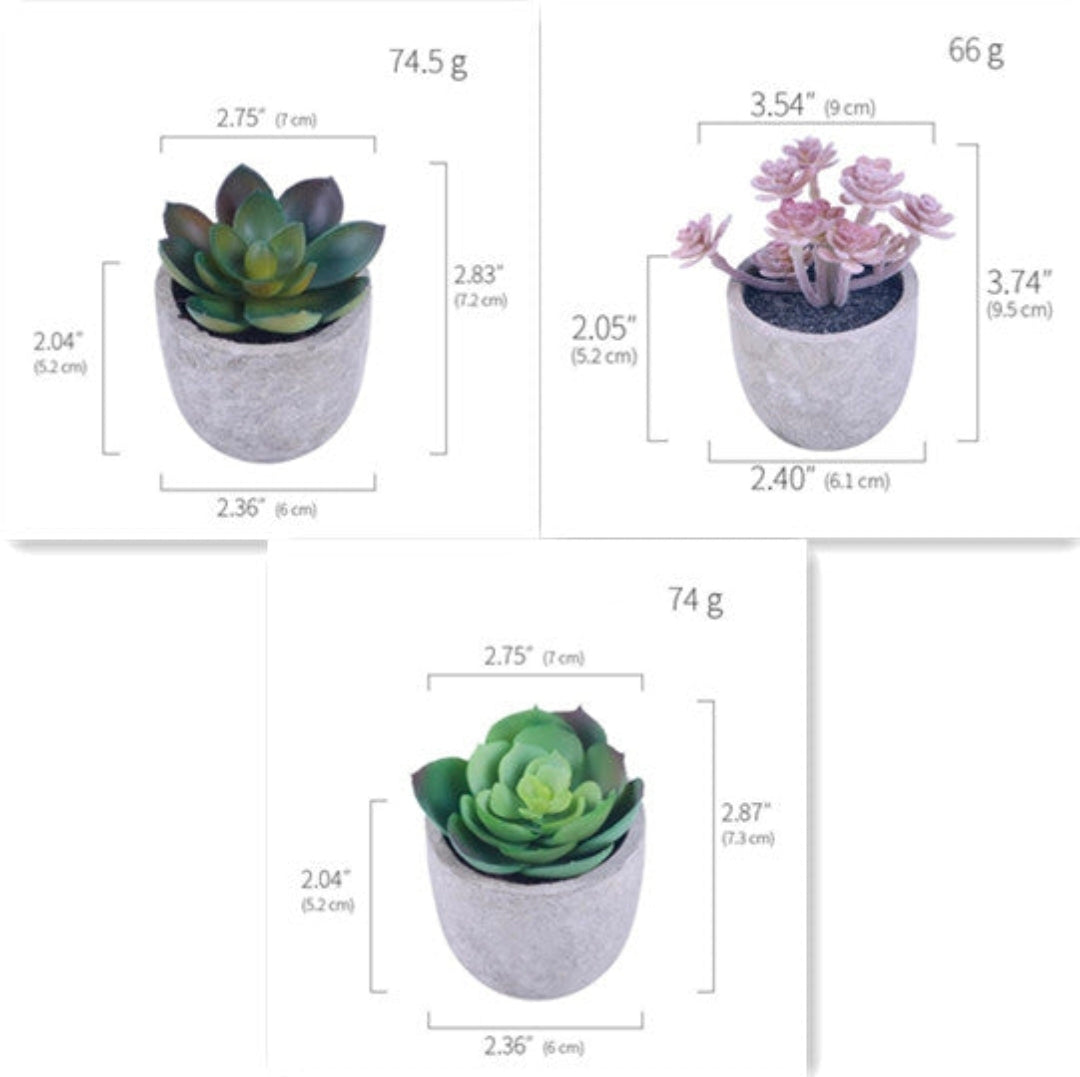 Artificial Succulent Plants