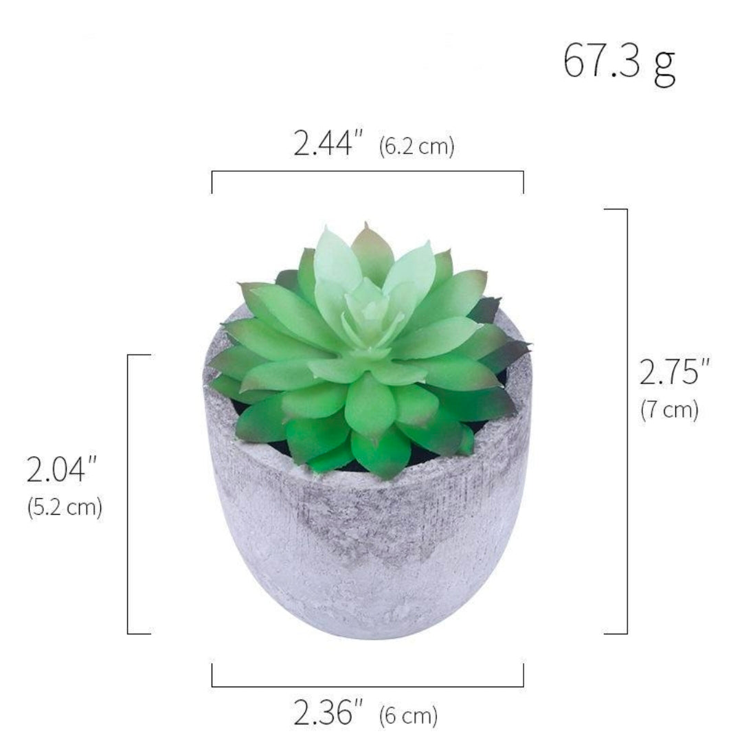 Artificial Succulent Plants