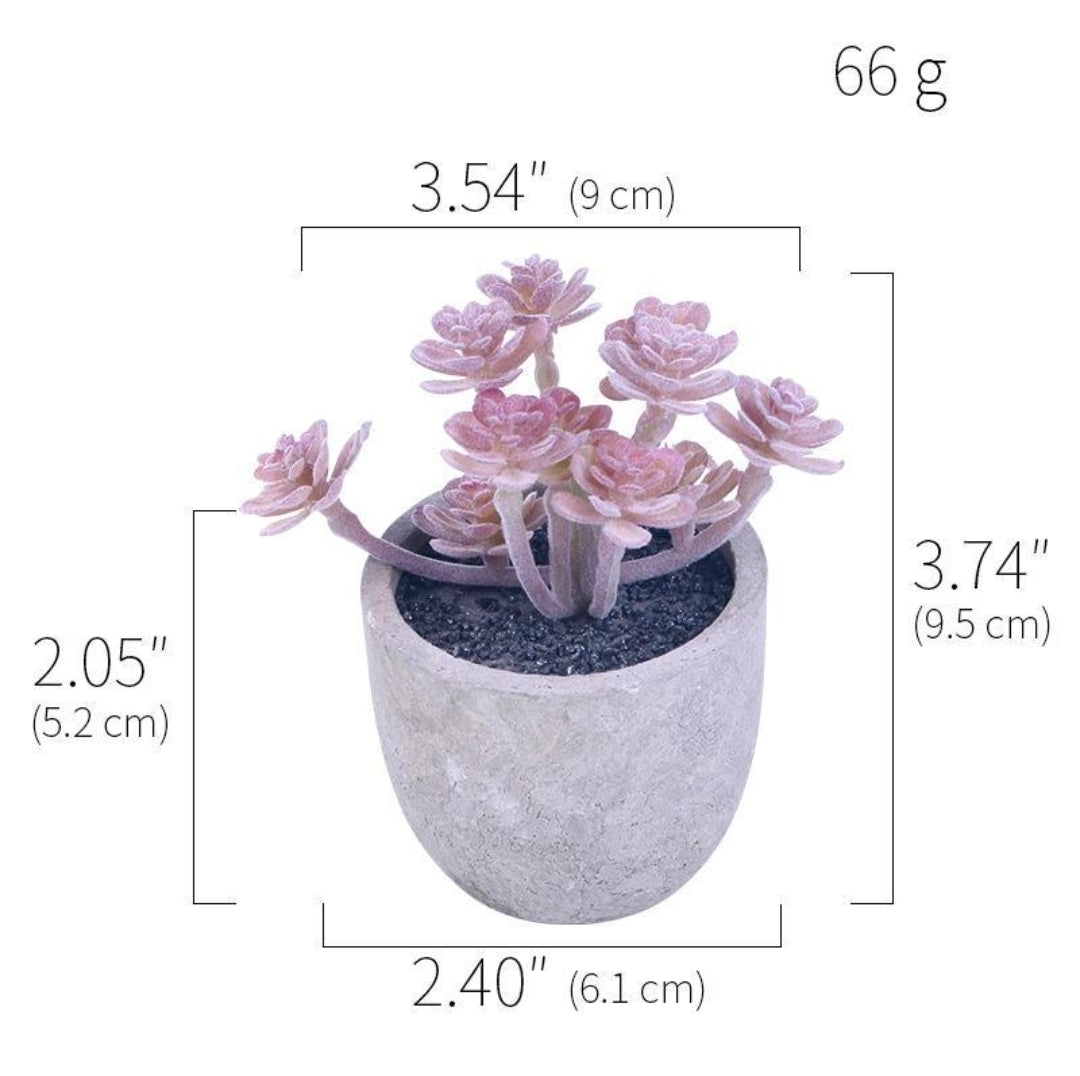 Artificial Succulent Plants