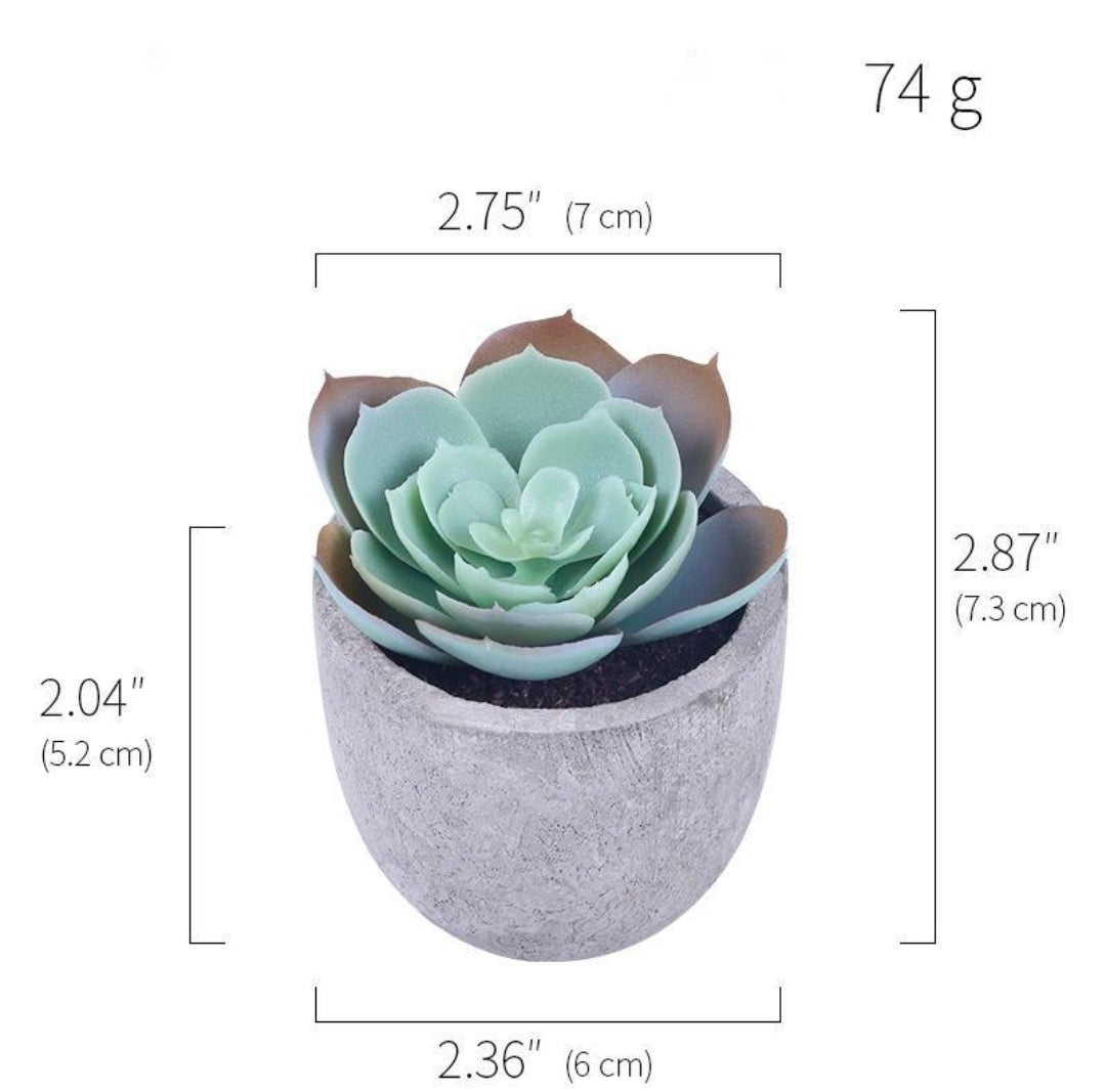 Artificial Succulent Plants