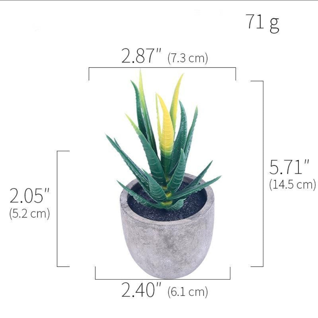 Artificial Succulent Plants