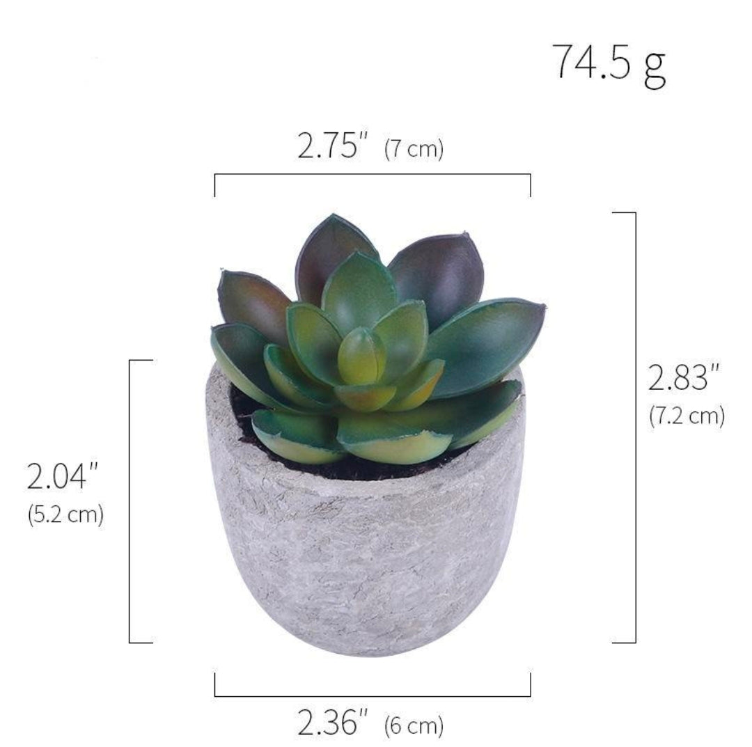 Artificial Succulent Plants
