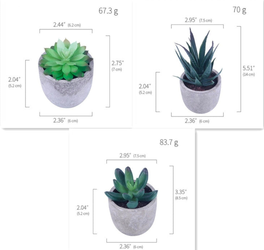 Artificial Succulent Plants