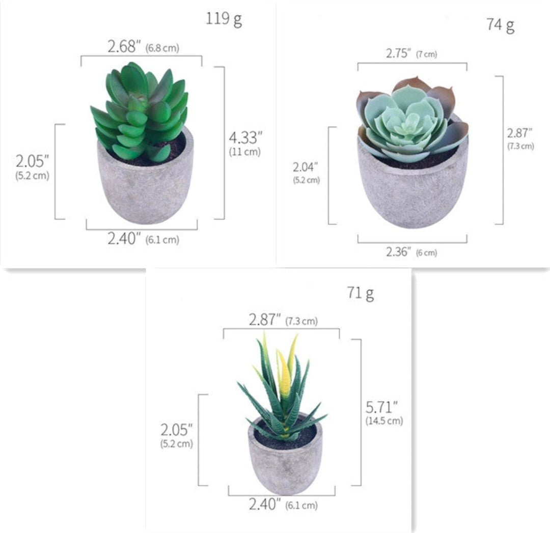 Artificial Succulent Plants
