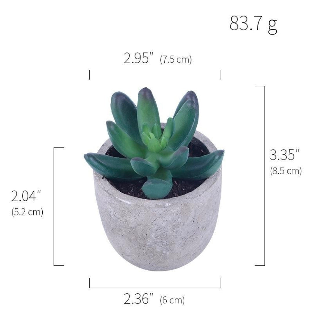 Artificial Succulent Plants